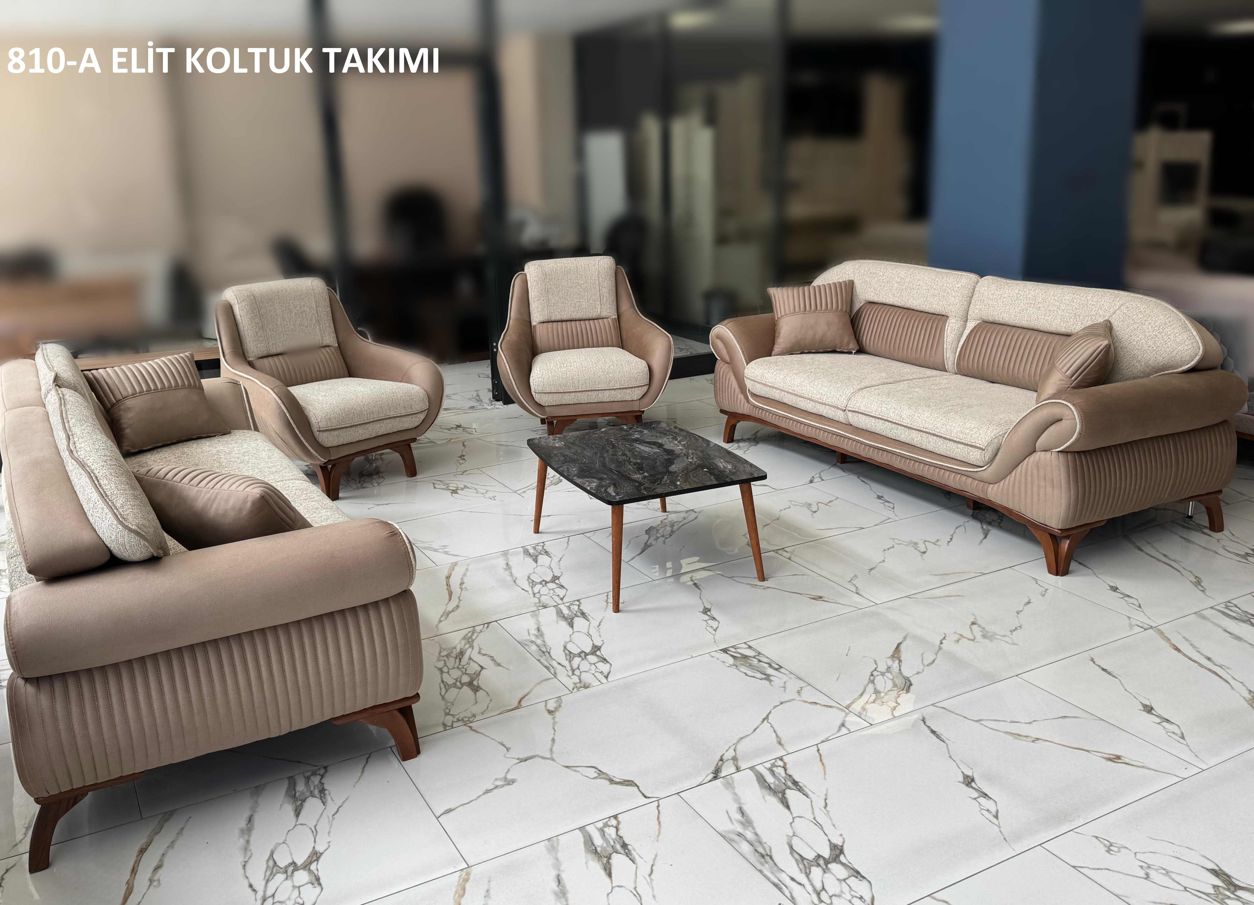 ELİT KOLTUK TAKIMI