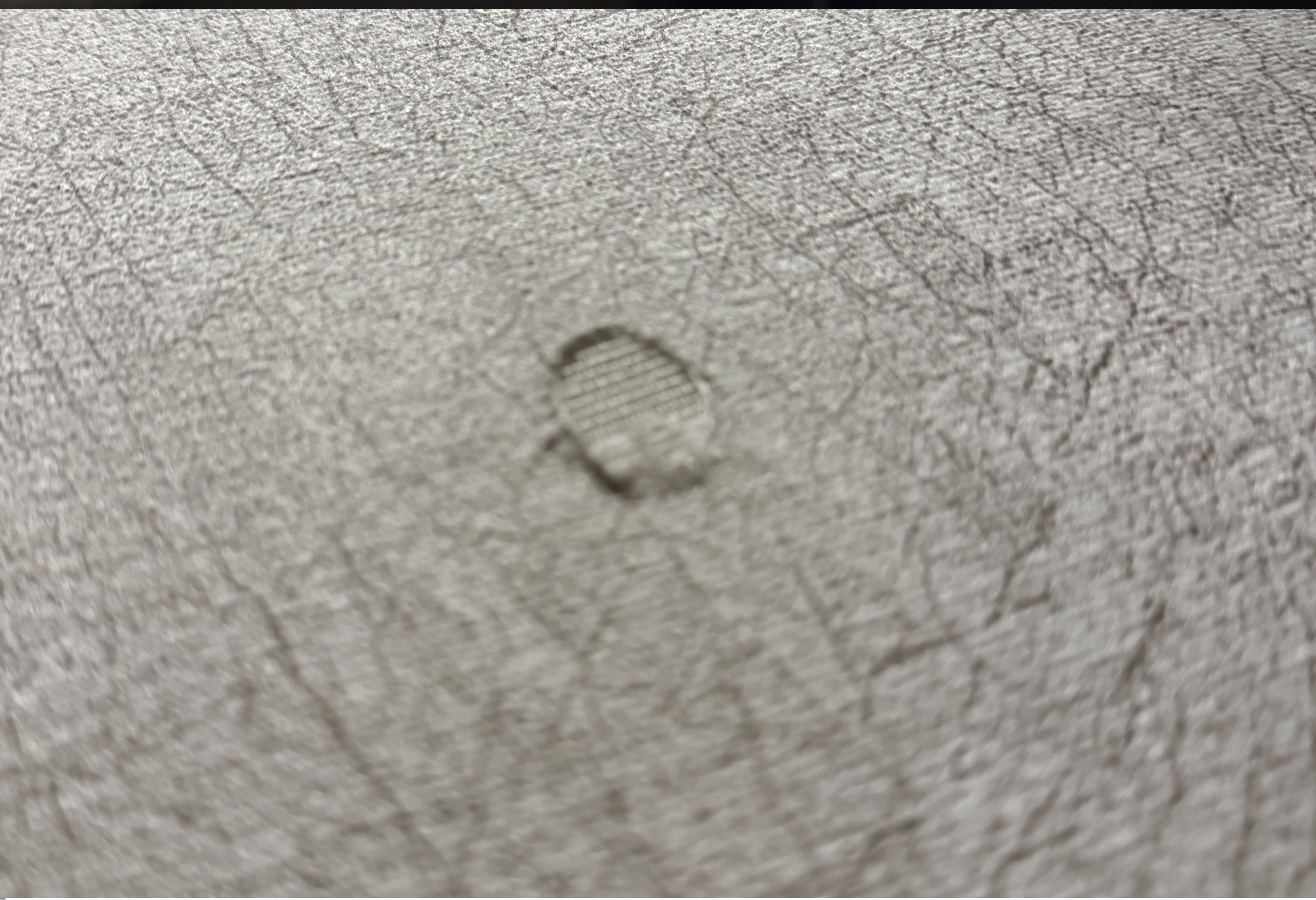 SEDEF KANEPE (OUTLET)